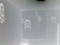 /album/fotogaleria-del-proyecto/img736-jpg/