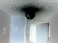 /album/fotogaleria-del-proyecto/img752-jpg/
